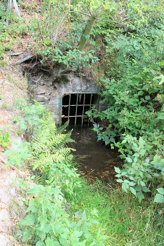 jiný vodní zdroj Vincenc (10229)