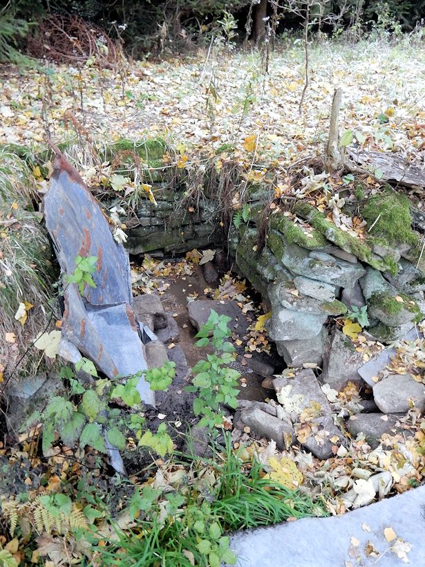 studánka Pod lesem (10231)
