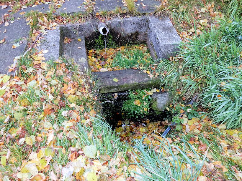studánka Stírka (10234)