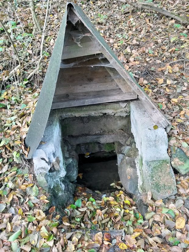 studánka bez jména (10238)