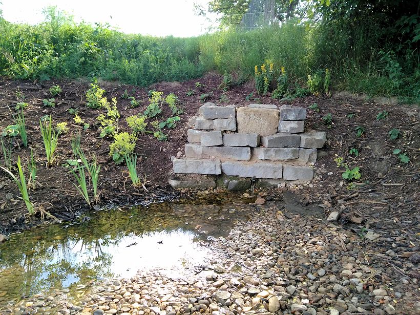 Tajemná studánka (10241)