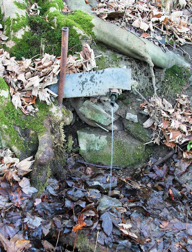 studánka V Kotlině (10265)