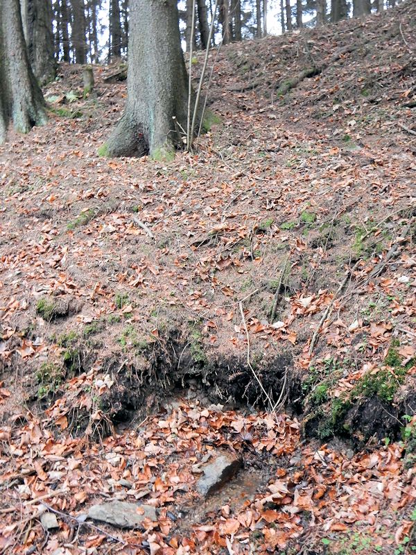 studánka Nad vodopádem (10273)