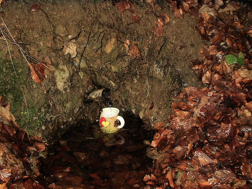 studánka Adamov (10274)