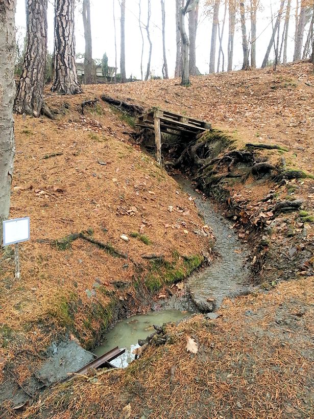 studánka Srnčí napajedlo (10275)
