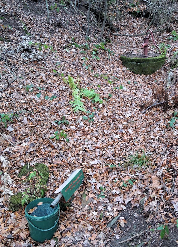 studánka bez jména (10277)