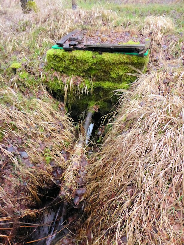 studánka bez jména (10289)