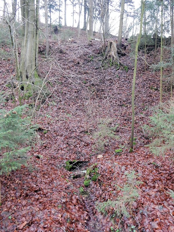 studánka Nad koupalištěm (10312)