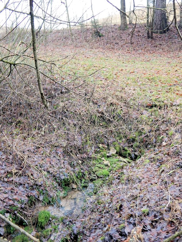 pramen Nad kaskádami (10314)