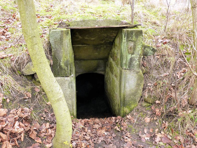 studánka bez jména (10318)