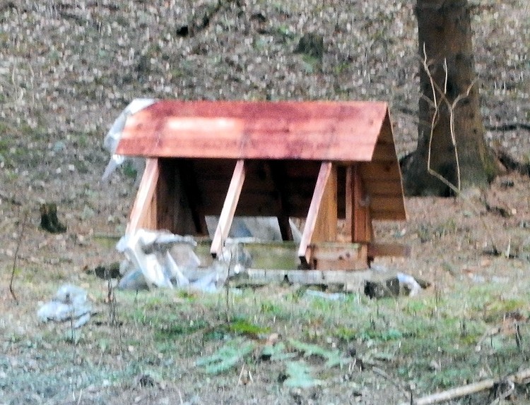 studánka Kyčera  (10326)