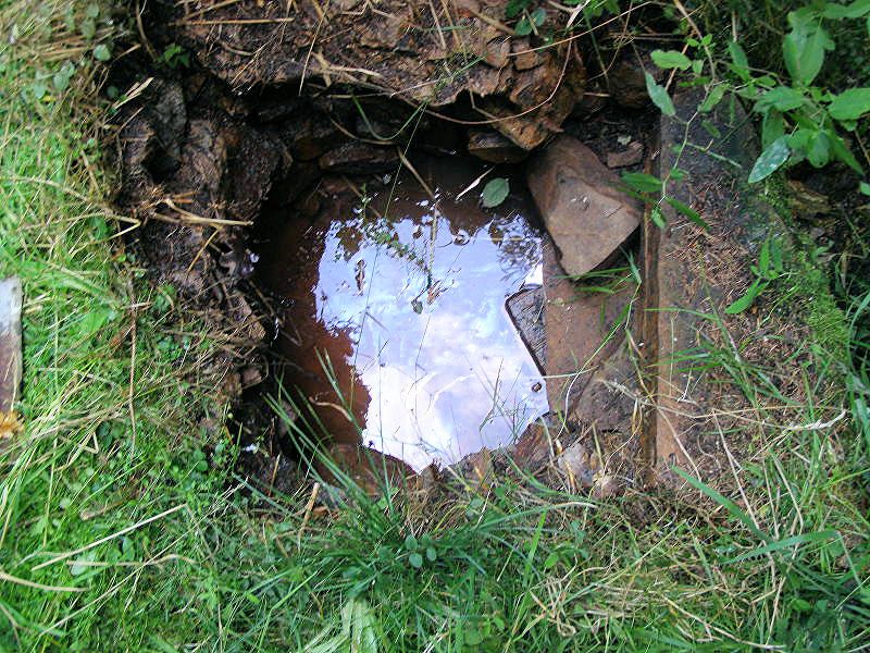studánka Kosovská (10332)