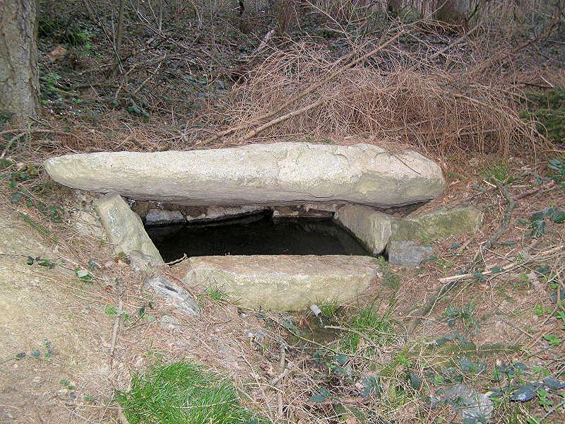studánka U Jarmilky (10337)