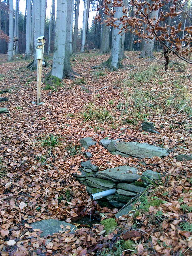 studánka Marienka (10345)