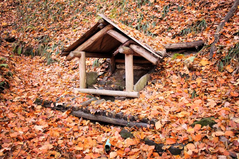 studánka bez jména (10346)