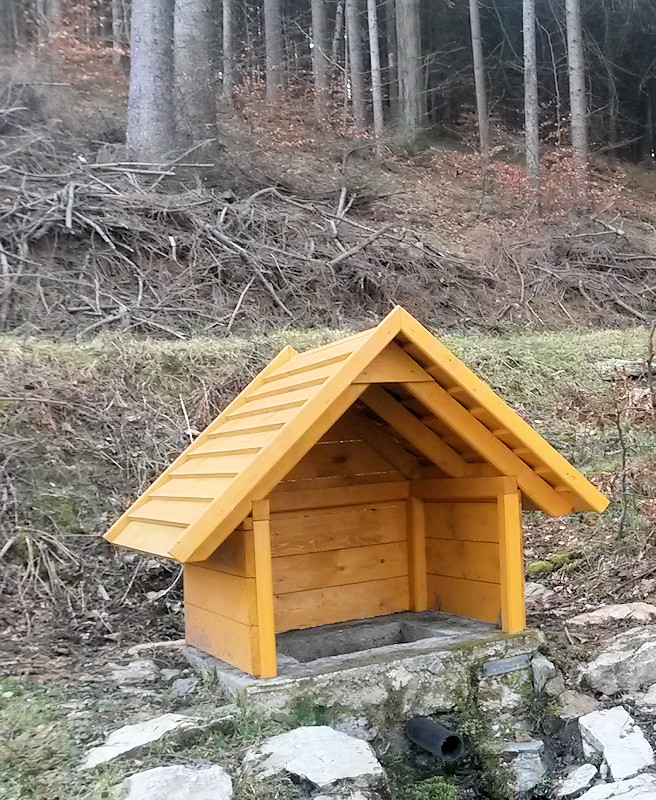 studánka bez jména (10359)