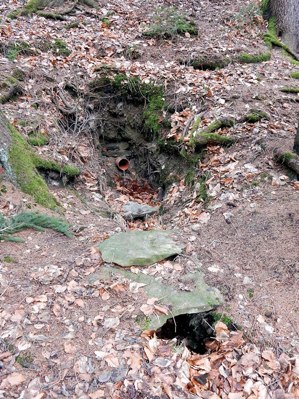studánka Pod Kolibou (10365)