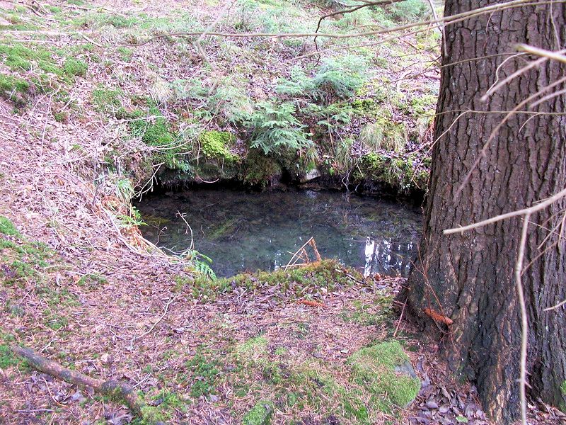 Kančí studánka (10369)