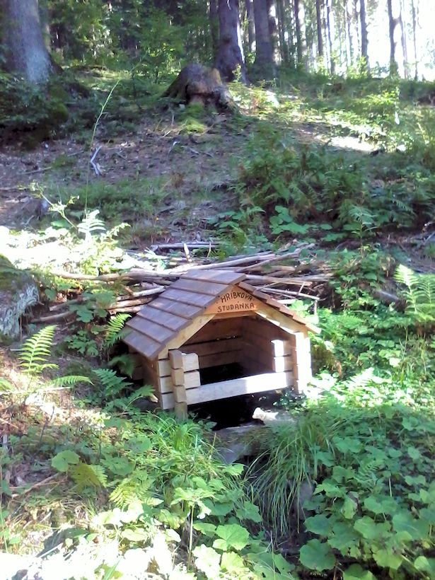 Hříbkova studánka (10372)