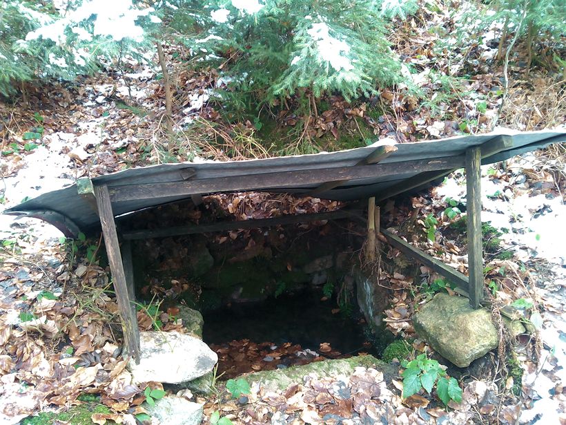 studánka bez jména (10380)