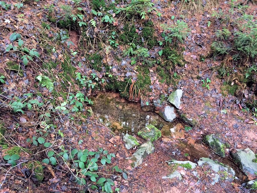Pánkova studánka (10388)