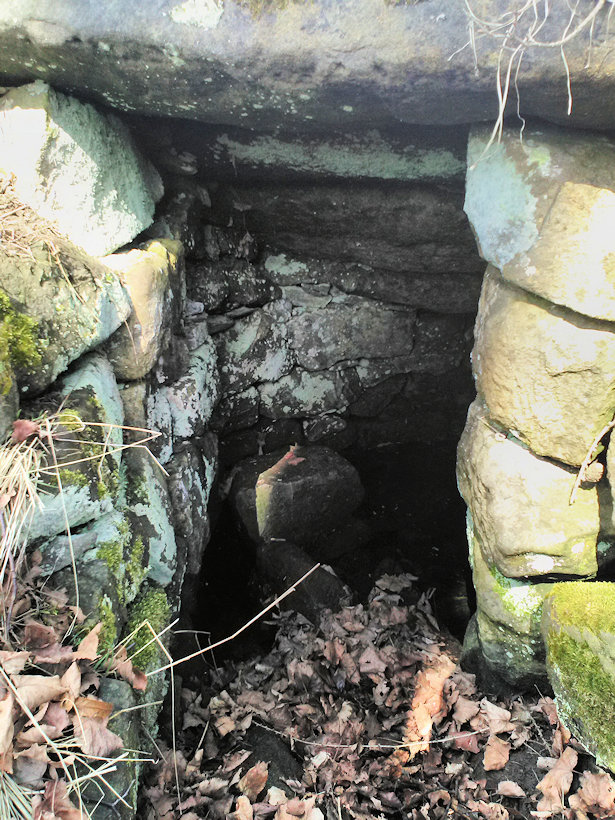 Studánka Zemřelých (10389)