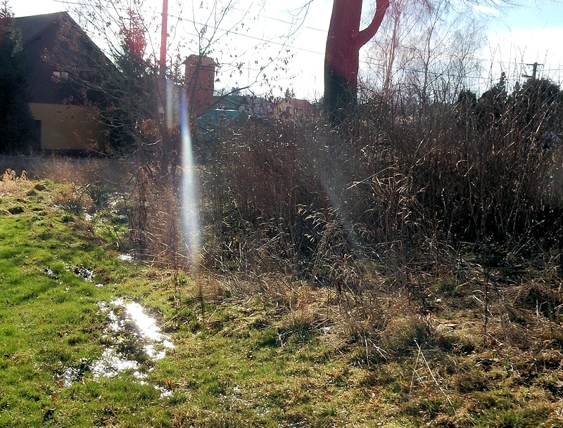 prameniště Nad kostelem (10390)