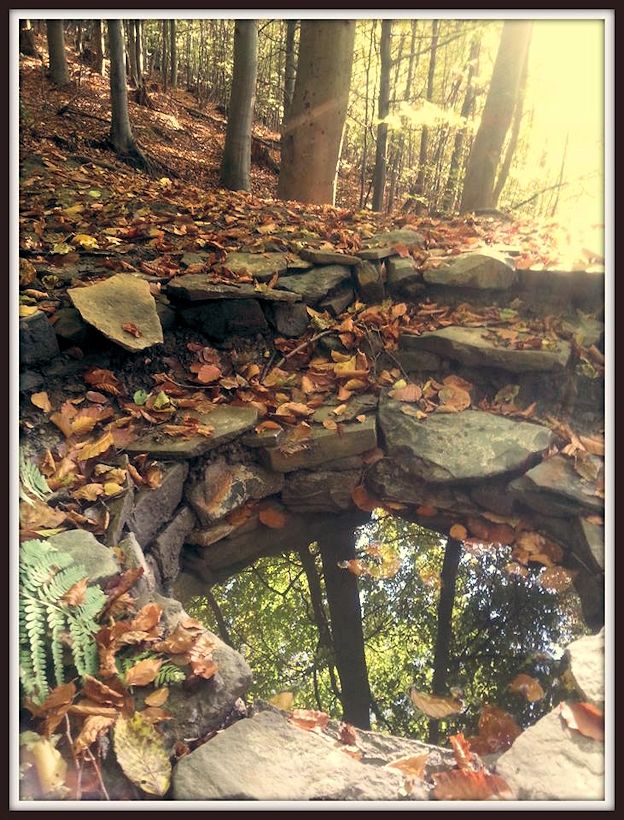 studánka Liduščiny studánky (10394)
