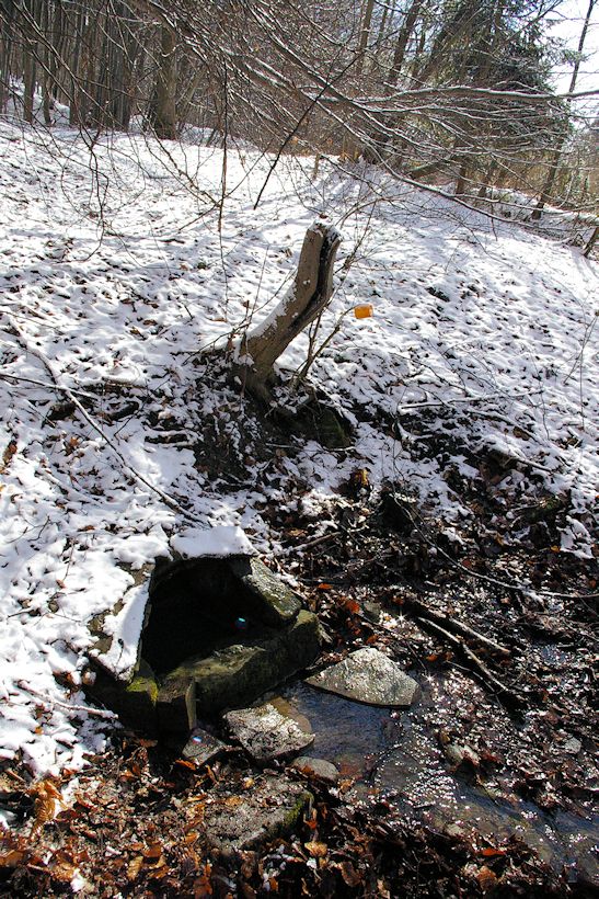 studánka Narozeninová (10398)