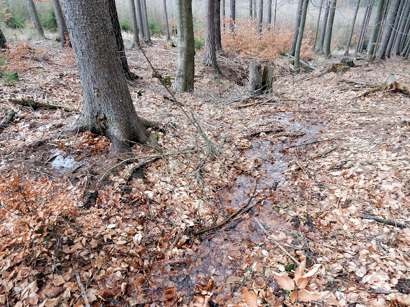 pramen Nad knížecím pomníkem 1 (10408)