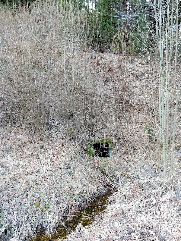 studánka V Kladsku (10411)