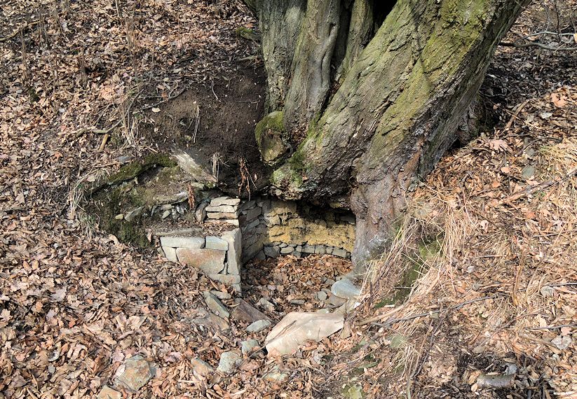 studánka V důlku (10414)