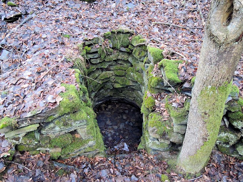 studánka Kerhartice I (10415)
