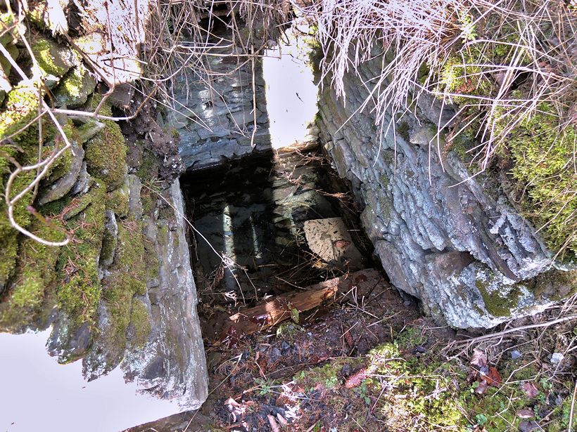 studánka Kerhartice II (10416)