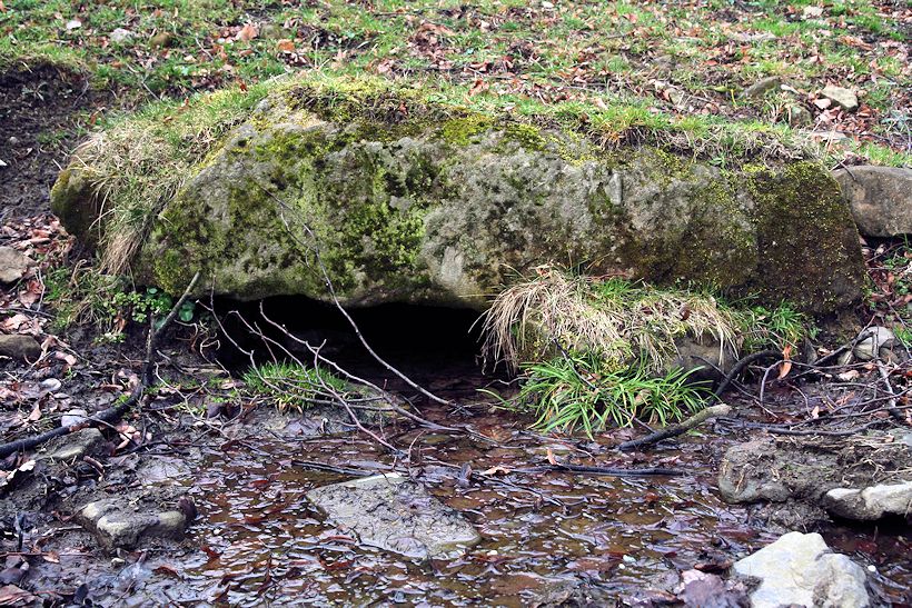 studánka Na Páleniskách (10420)
