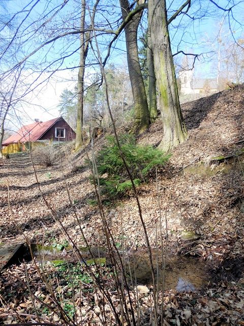 studánka Pod kostelem (10431)