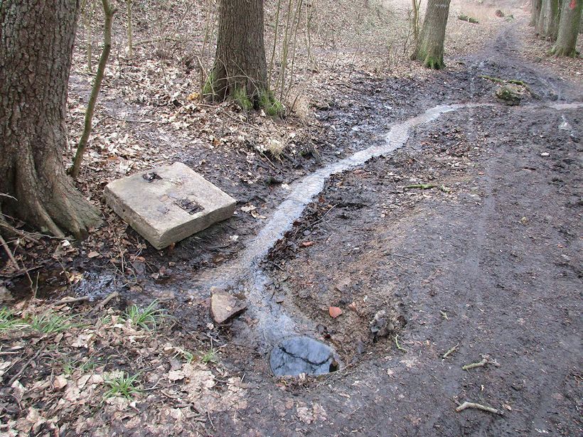 studánka bez jména (10434)