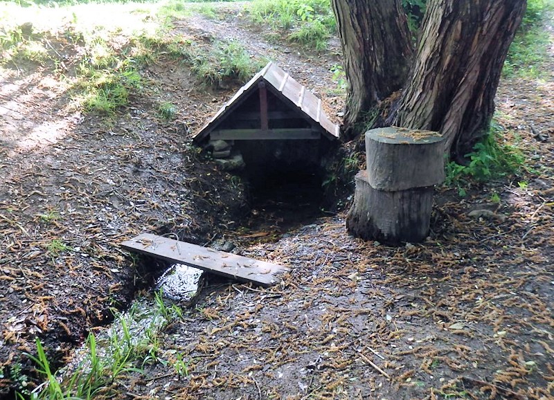 studánka Pod Kopešínem (10435)