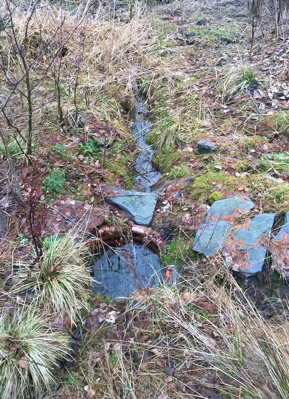 studánka Kání (10438)