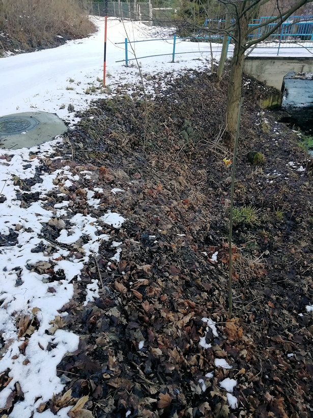 studánka Pod cestou (10446)