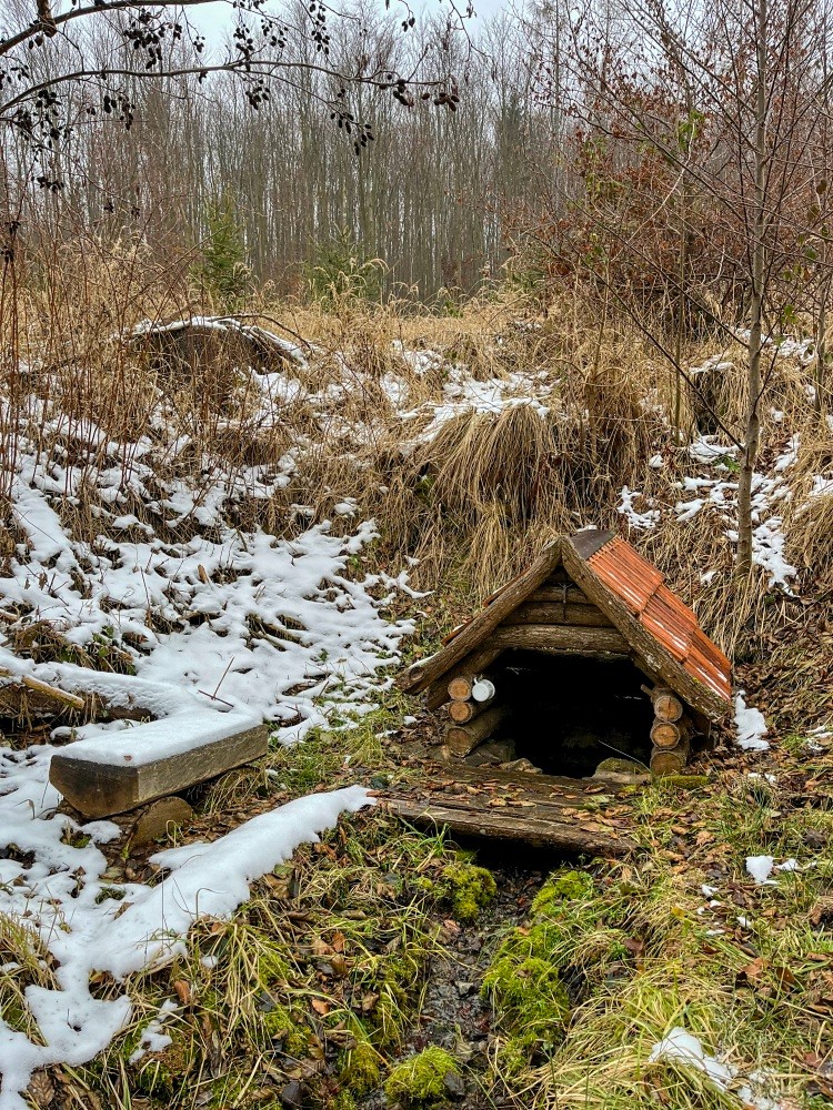 studánka Svatého Jiljí (10447)