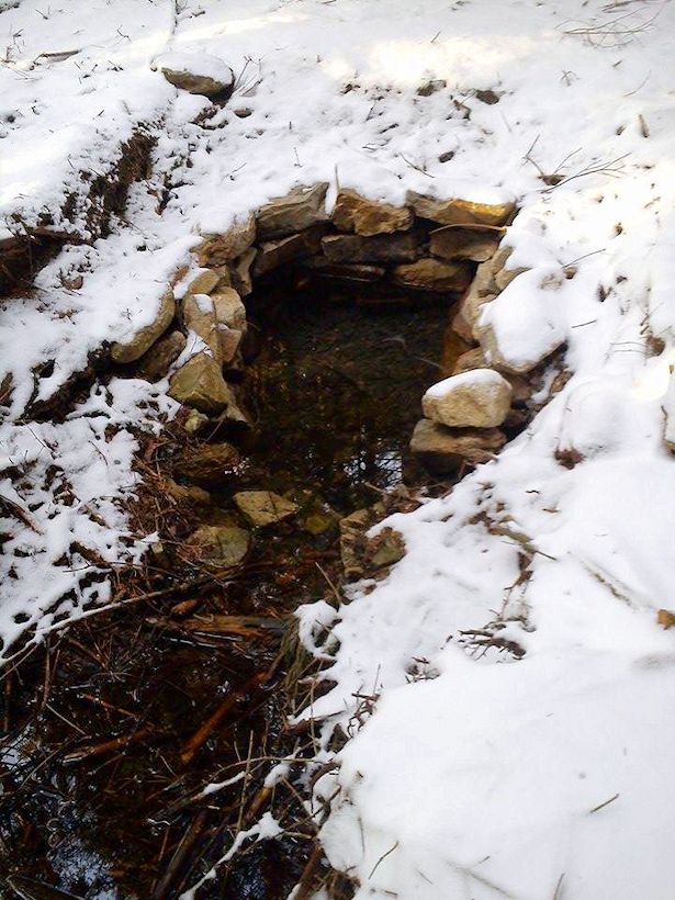 Košťálova studánka (10451)