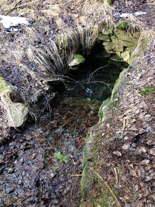 studánka U Dingirglmühle (10452)