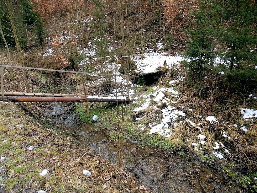 studánka bez jména (10456)