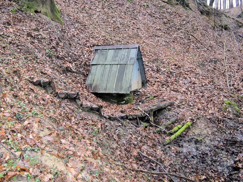 studánka bez jména (10459)