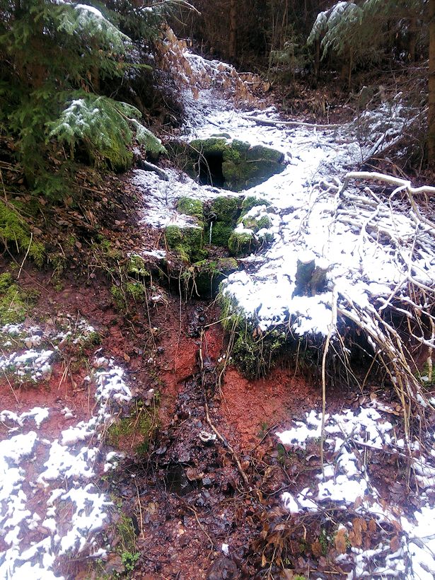studánka U krmelce (10461)