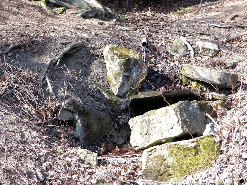 studánka Ořechová (10464)