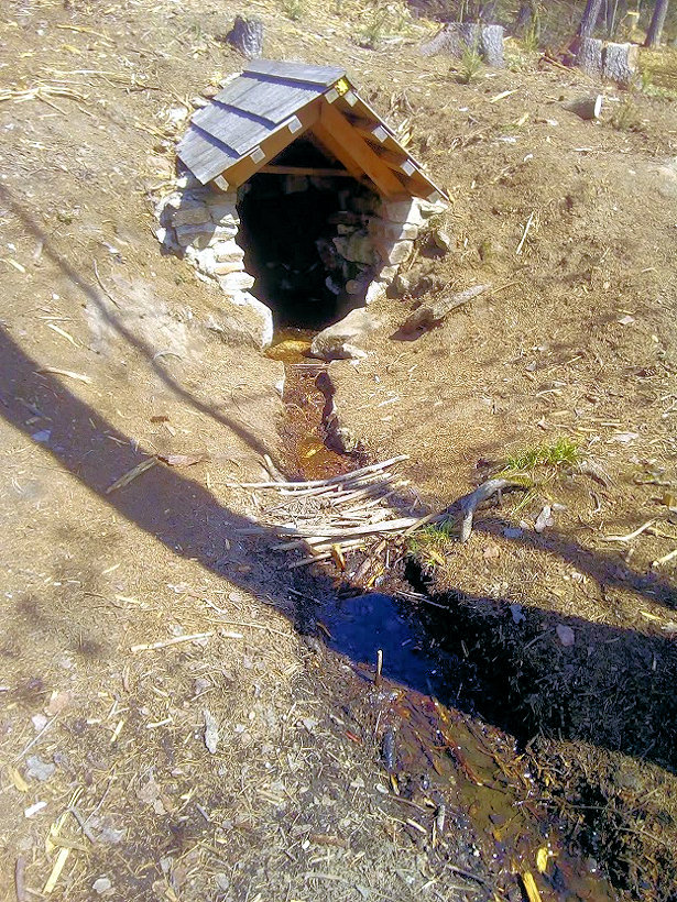 studánka Pod stříškou (10467)
