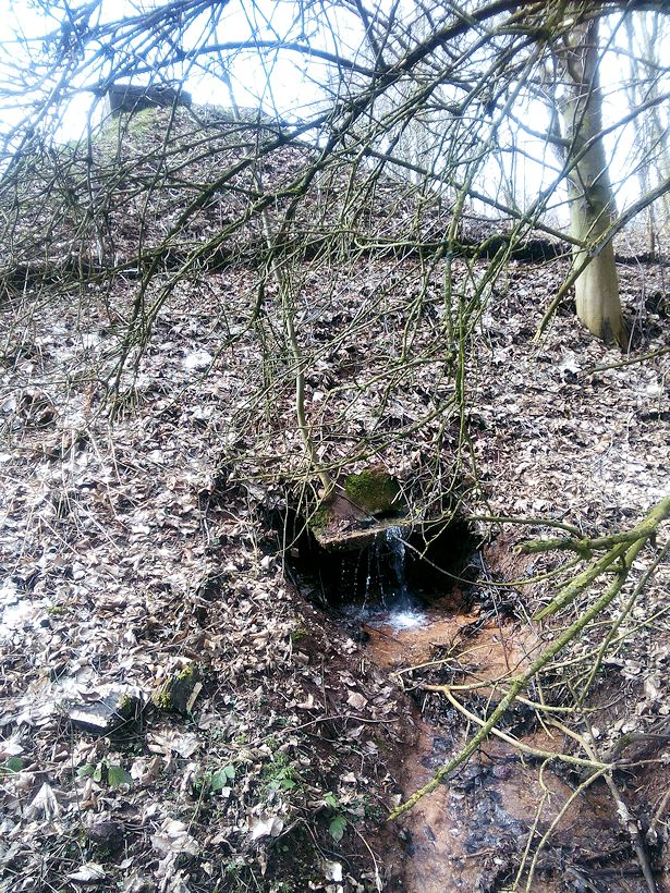 jiný vodní zdroj bez jména (10473)