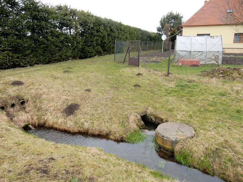 studánka V Staroměstské ulici (10481)